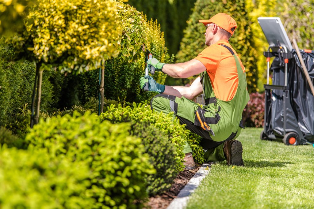 Professional Gardening Services by Sonam Cleaning