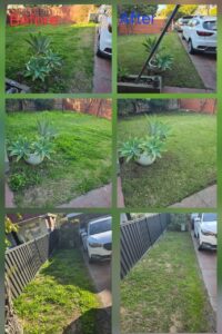 WhatsApp Image 2025-07-14 at 7.22.40 PM